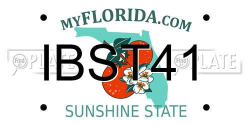 IBST41 Florida License Plate