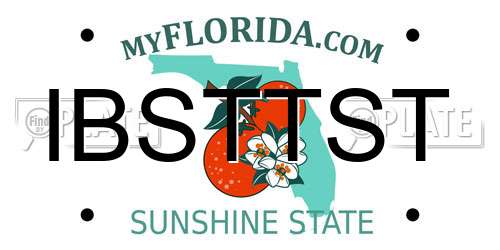 IBSTTST Florida License Plate