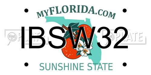 IBSW32 Florida License Plate