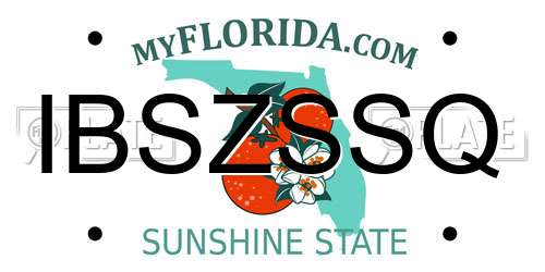 IBSZSSQ Florida License Plate