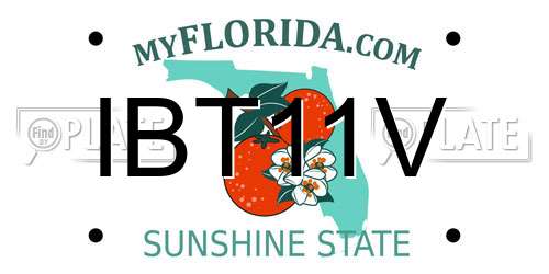 IBT11V Florida License Plate