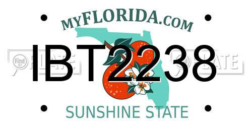 IBT2238 Florida License Plate