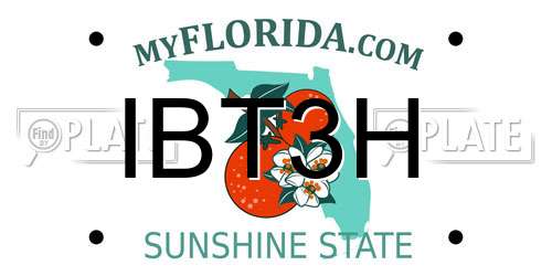 IBT3H Florida License Plate