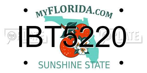 IBT5220 Florida License Plate