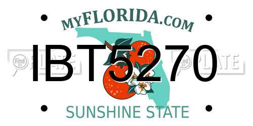 IBT5270 Florida License Plate
