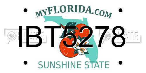 IBT5278 Florida License Plate