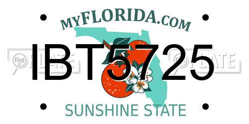 IBT5725 Florida License Plate