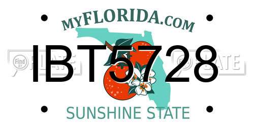 IBT5728 Florida License Plate