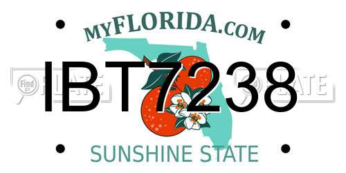 IBT7238 Florida License Plate