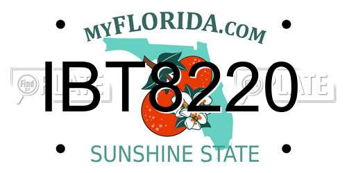 IBT8220 Florida License Plate