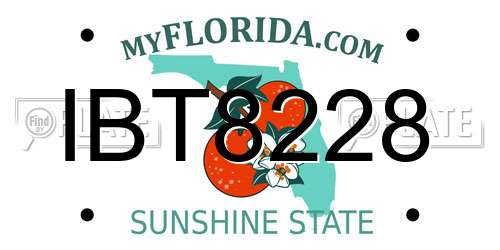 IBT8228 Florida License Plate