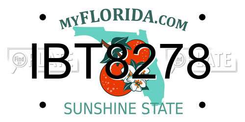 IBT8278 Florida License Plate
