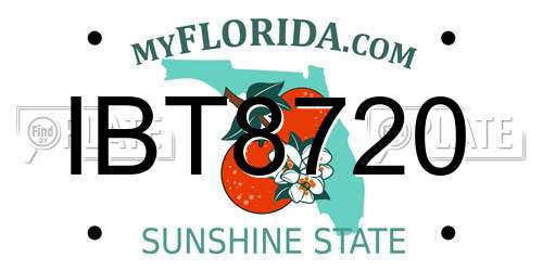 IBT8720 Florida License Plate