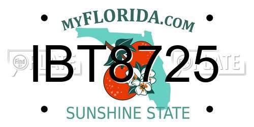 IBT8725 Florida License Plate