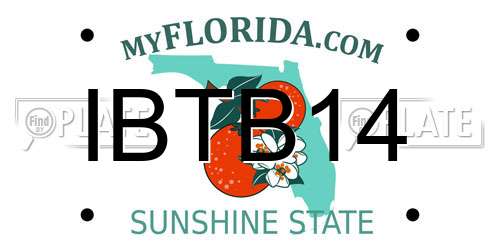 IBTB14 Florida License Plate