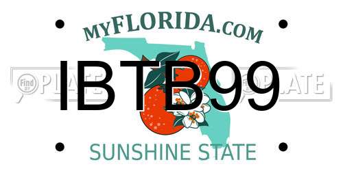 IBTB99 Florida License Plate