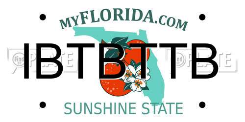 IBTBTTB Florida License Plate
