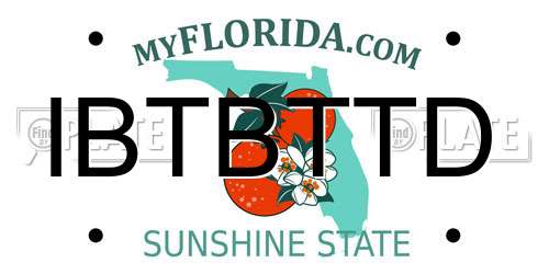 IBTBTTD Florida License Plate