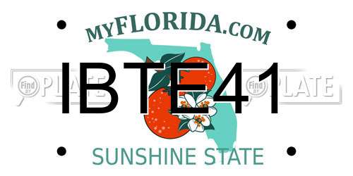 IBTE41 Florida License Plate