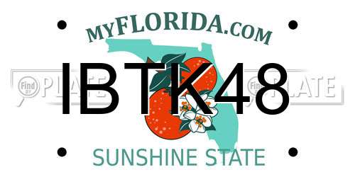 IBTK48 Florida License Plate