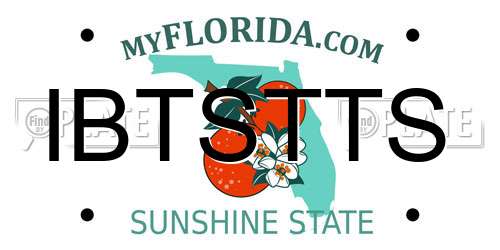 IBTSTTS Florida License Plate