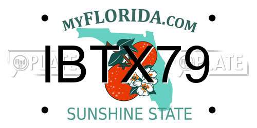 IBTX79 Florida License Plate