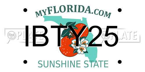 IBTY25 Florida License Plate