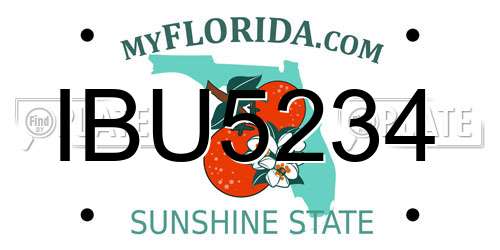 IBU5234 Florida License Plate