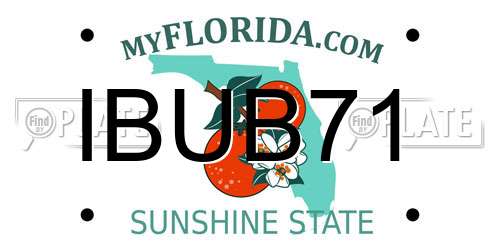 IBUB71 Florida License Plate