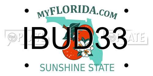 IBUD33 Florida License Plate