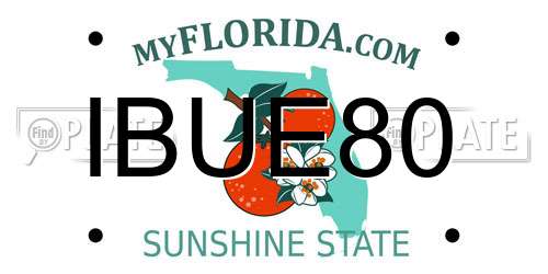 IBUE80 Florida License Plate