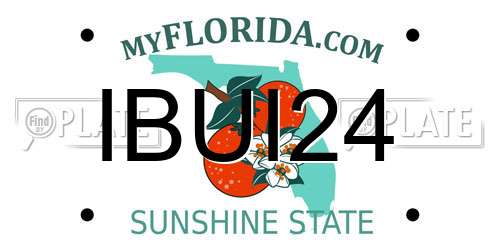 IBUI24 Florida License Plate