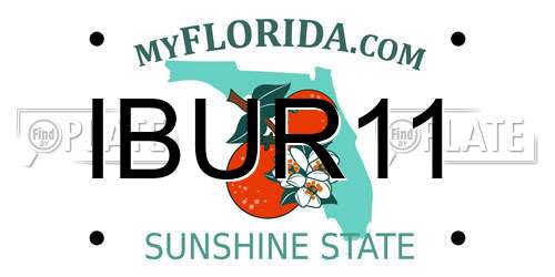 IBUR11 Florida License Plate