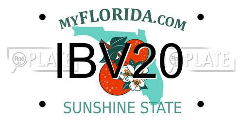 IBV20 Florida License Plate