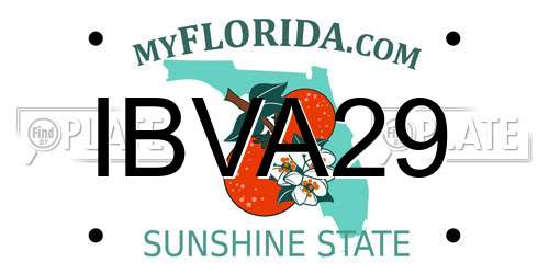 IBVA29 Florida License Plate