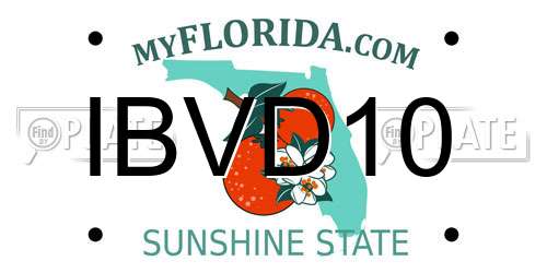 IBVD10 Florida License Plate