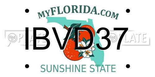 IBVD37 Florida License Plate