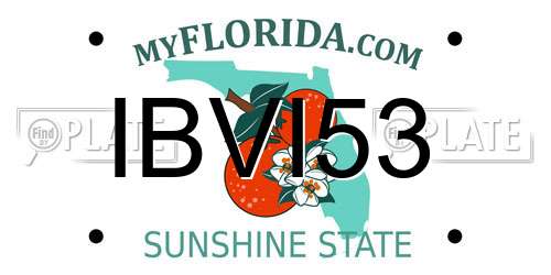 IBVI53 Florida License Plate
