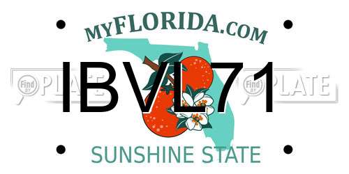 IBVL71 Florida License Plate