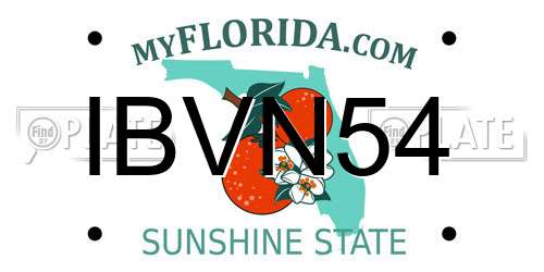 IBVN54 Florida License Plate