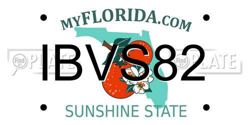 IBVS82 Florida License Plate