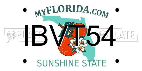 IBVT54 Florida License Plate
