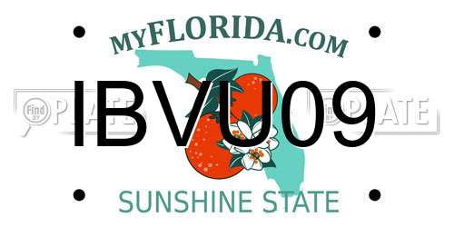 IBVU09 Florida License Plate