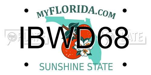 IBWD68 Florida License Plate