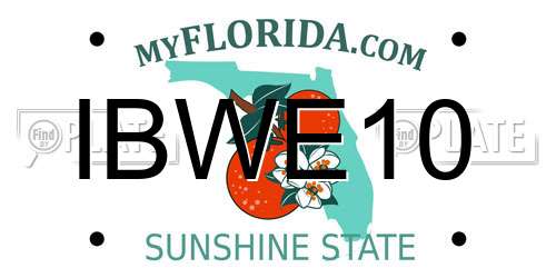 IBWE10 Florida License Plate