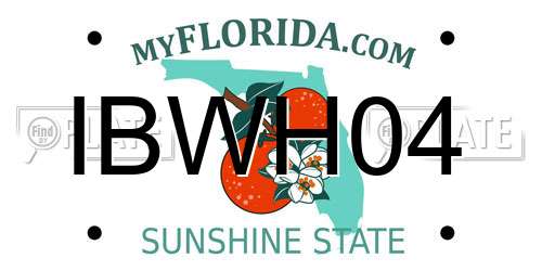 IBWH04 Florida License Plate