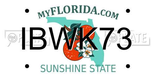 IBWK73 Florida License Plate