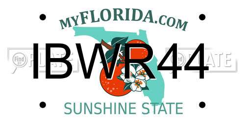 IBWR44 Florida License Plate