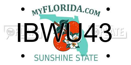 IBWU43 Florida License Plate