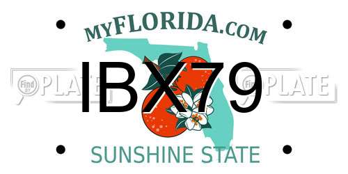 IBX79 Florida License Plate